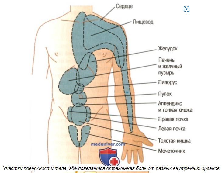 Рефлексия